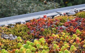 the cost of Sibertswold Or Shepherdswell green roof installation