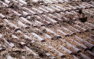 Sibertswold Or Shepherdswell roof cleaning companies